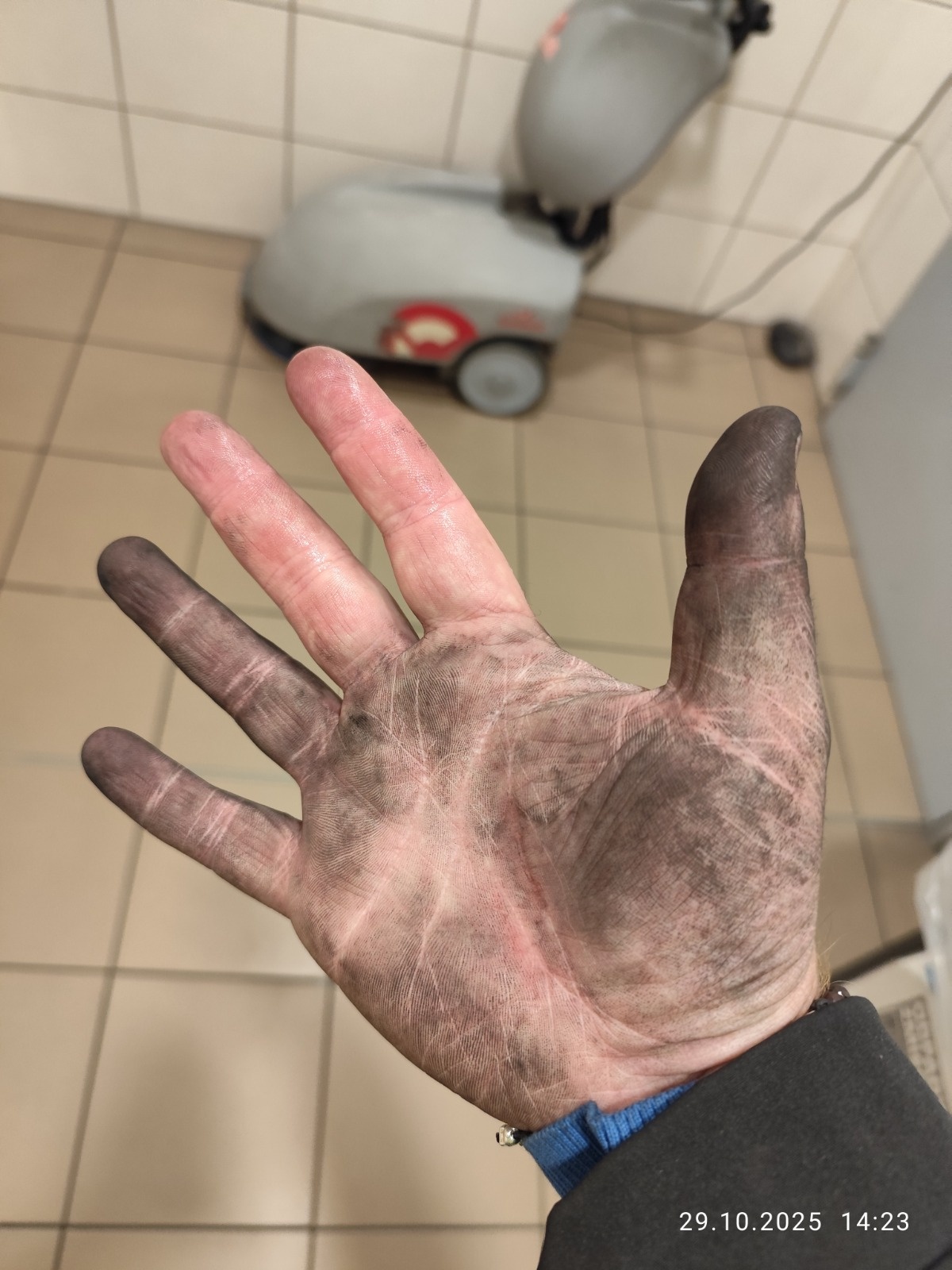 53b2cf3e-8ca7-4972-99b5-cfaae27a6972