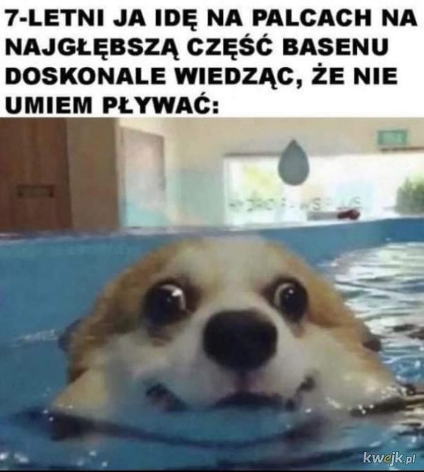 04f118e9-e82e-4709-96ac-4404463a61fa