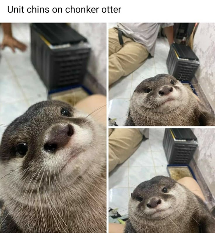 fead9acd-8aa1-444e-a1db-026129afbbee