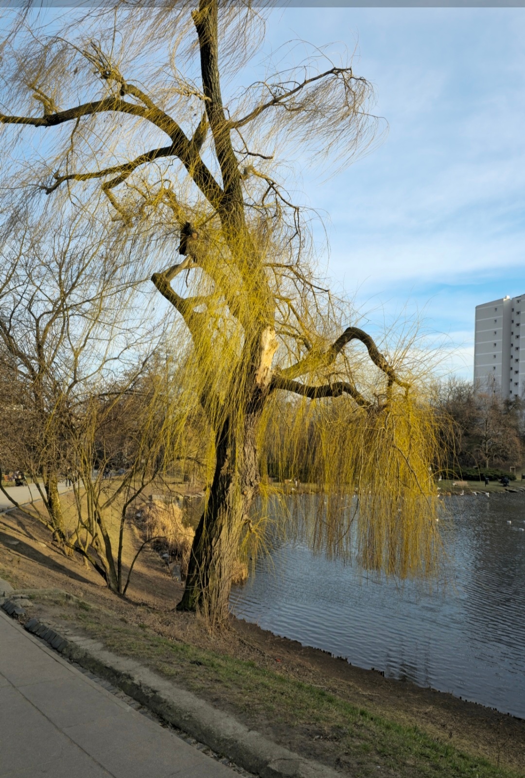 a95b1895-94b8-4f35-ab94-300d88ea5457