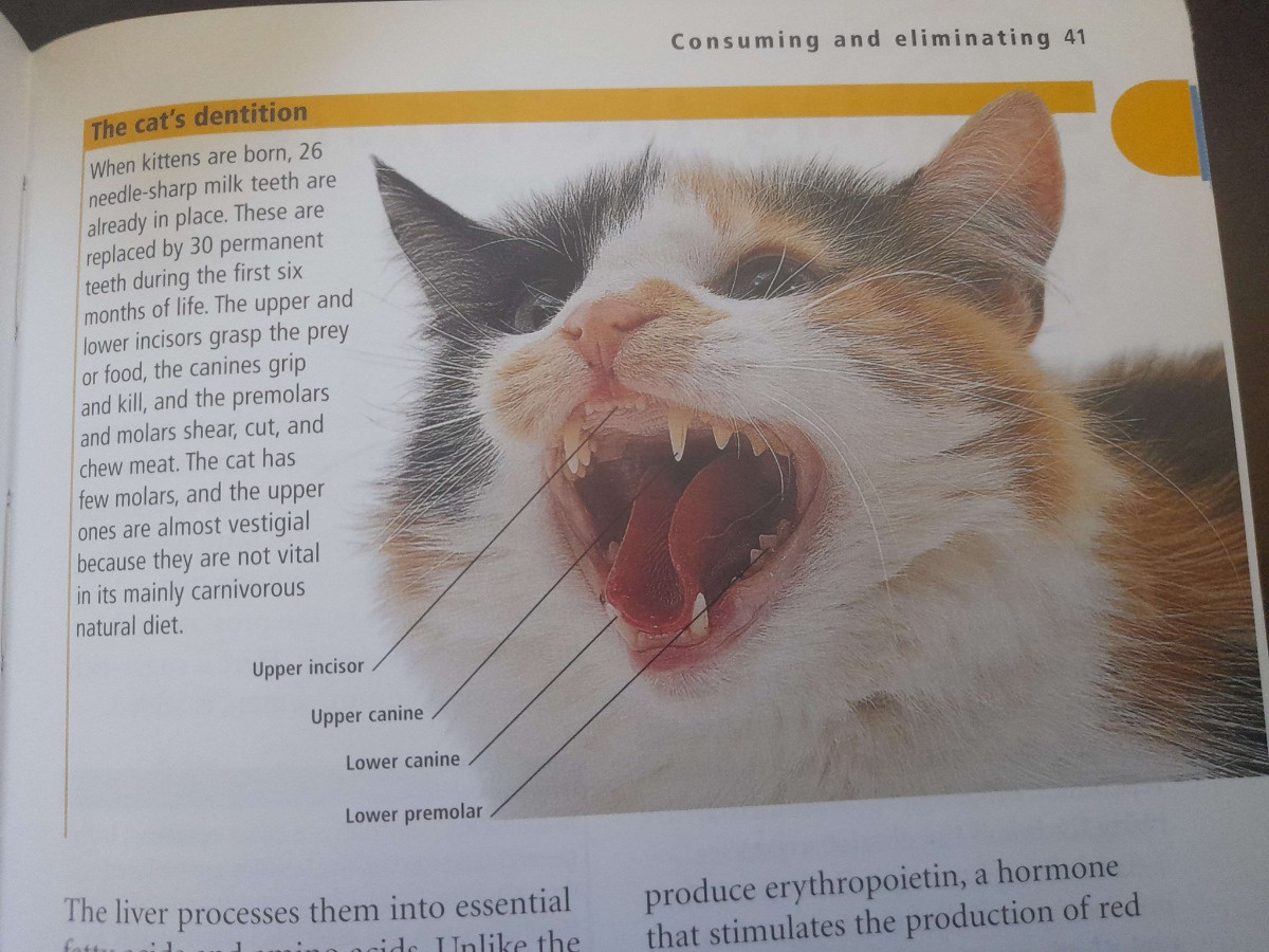 056fb4cc-c30c-4c50-945e-2a14f7099378