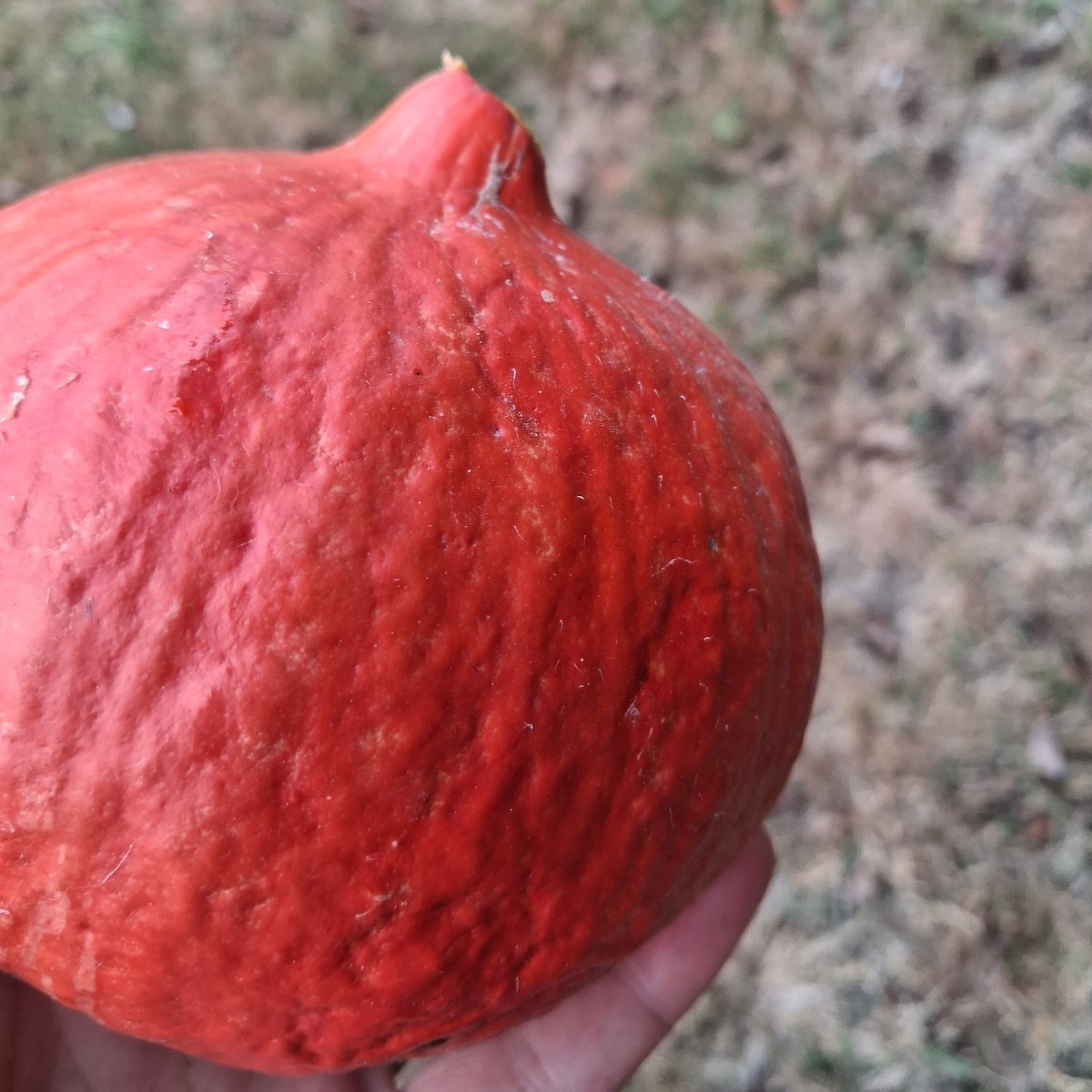 38ec4caa-5615-4058-9134-c0d21627649b