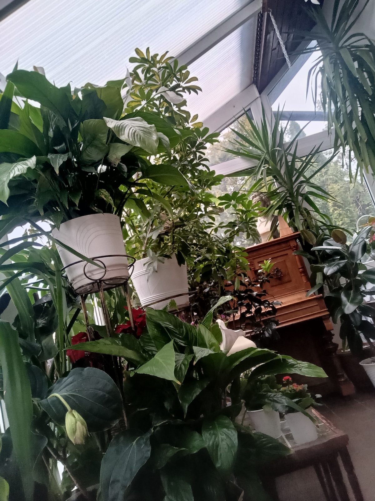 b958bd1f-988c-4c9e-a7de-453650b93286