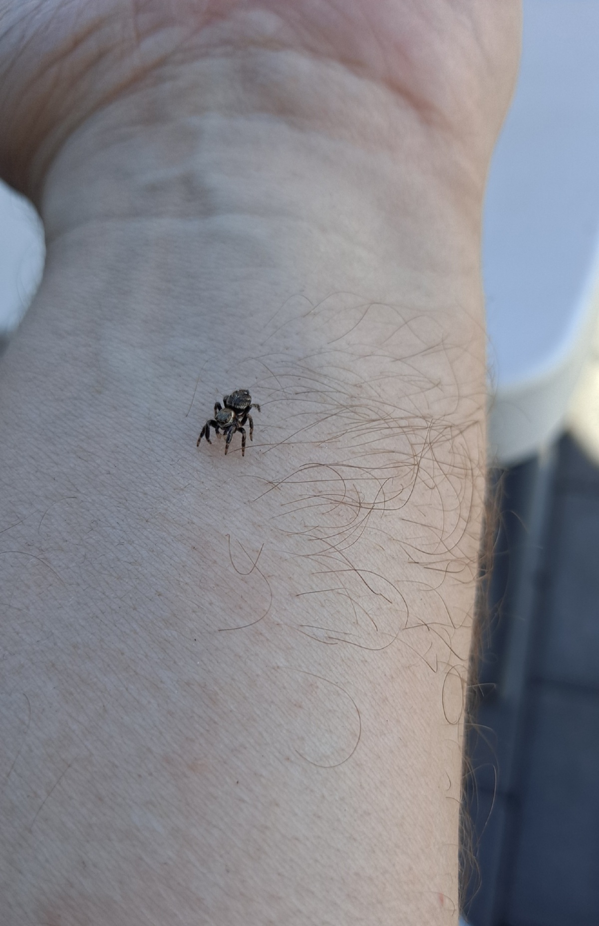 1228d191-be4a-47d4-b5b2-818238af06c0