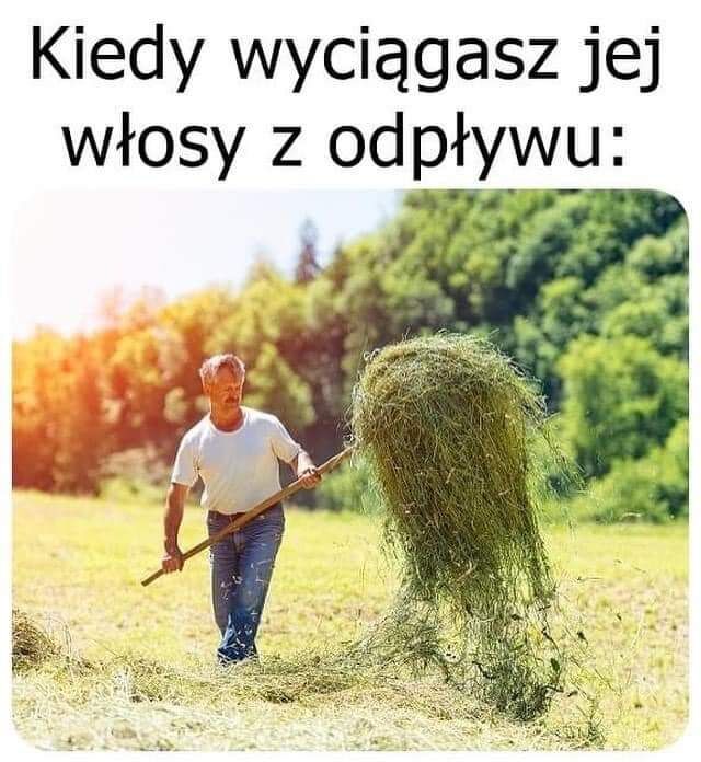 fd643989-f753-4025-a08e-191d8903ccba