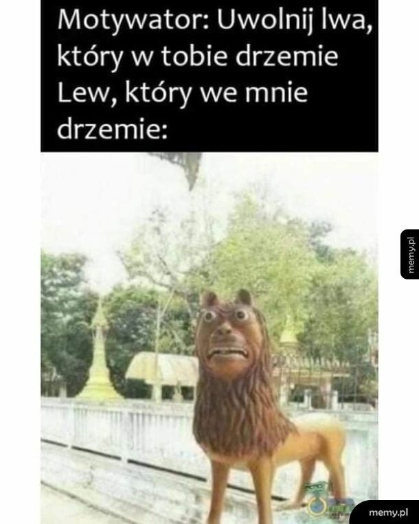 21b87a3d-421b-4ef5-b9bd-695d93f221de