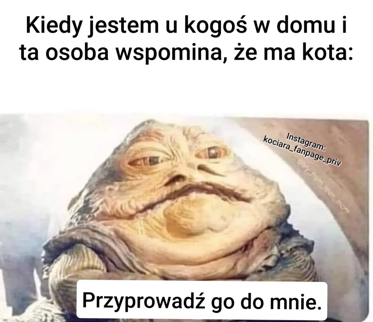 271747b3-37d3-4c3c-bb87-0cc196ab014c