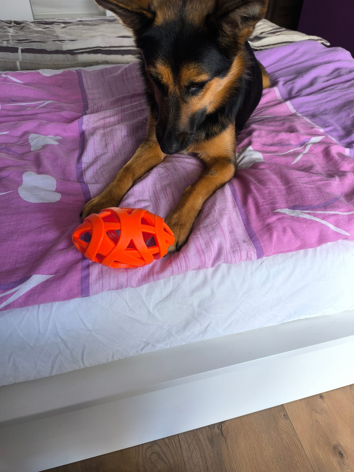 03934b58-38dd-4707-aab4-240985c228e8