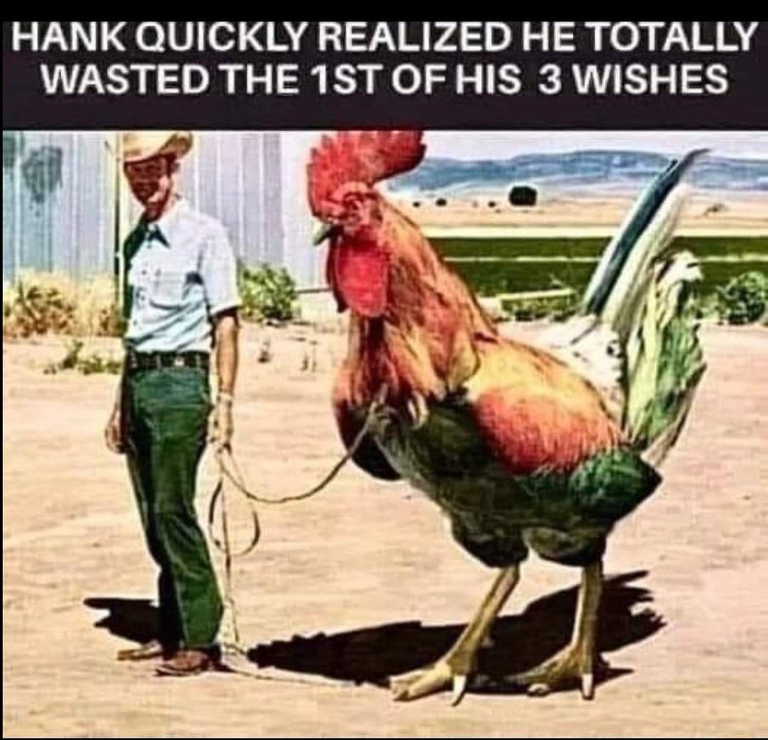 1b5ae8a4-7256-40ce-92e0-a08e44422884