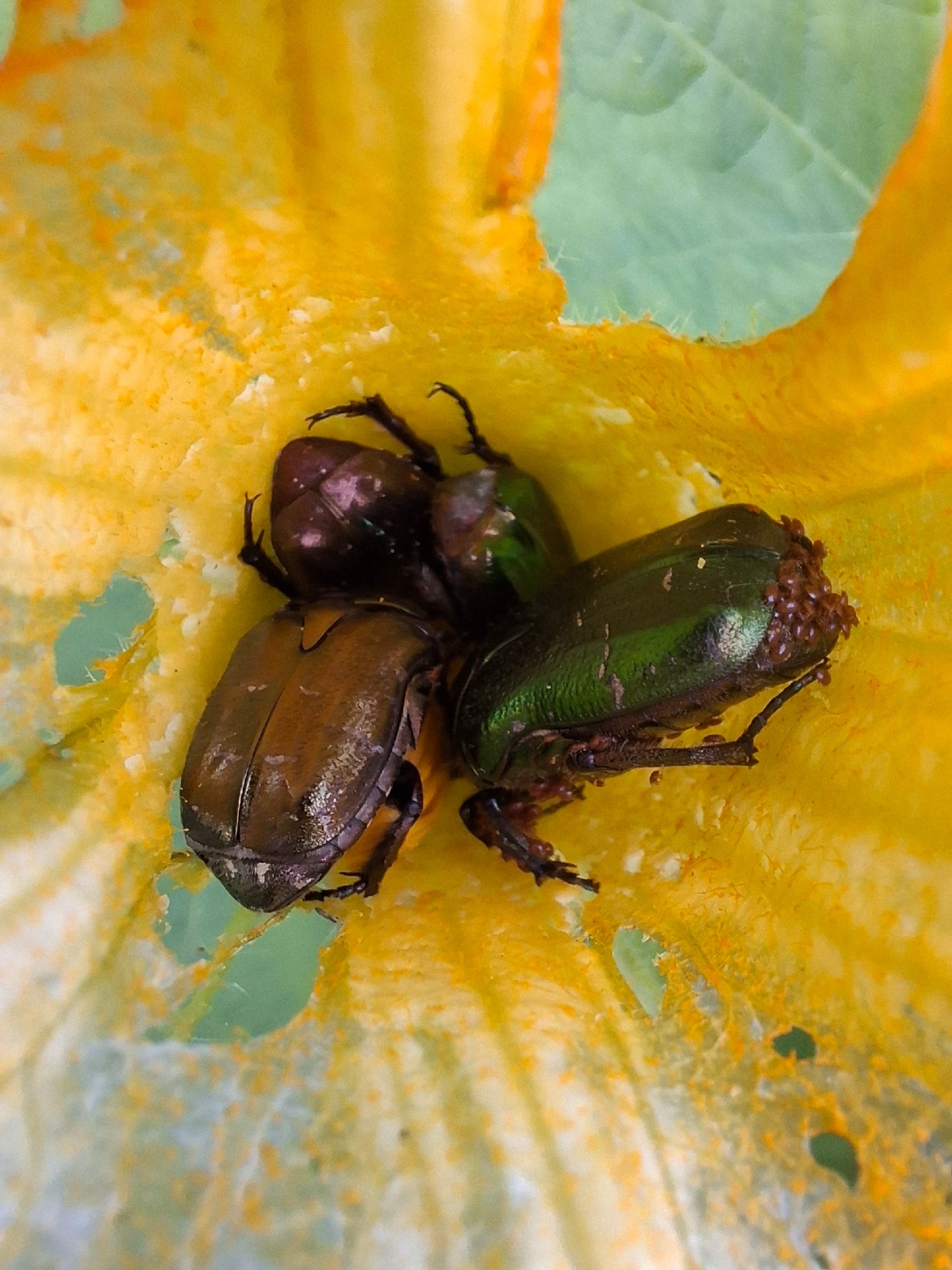 15dacfa6-4113-4598-b858-318999be8969