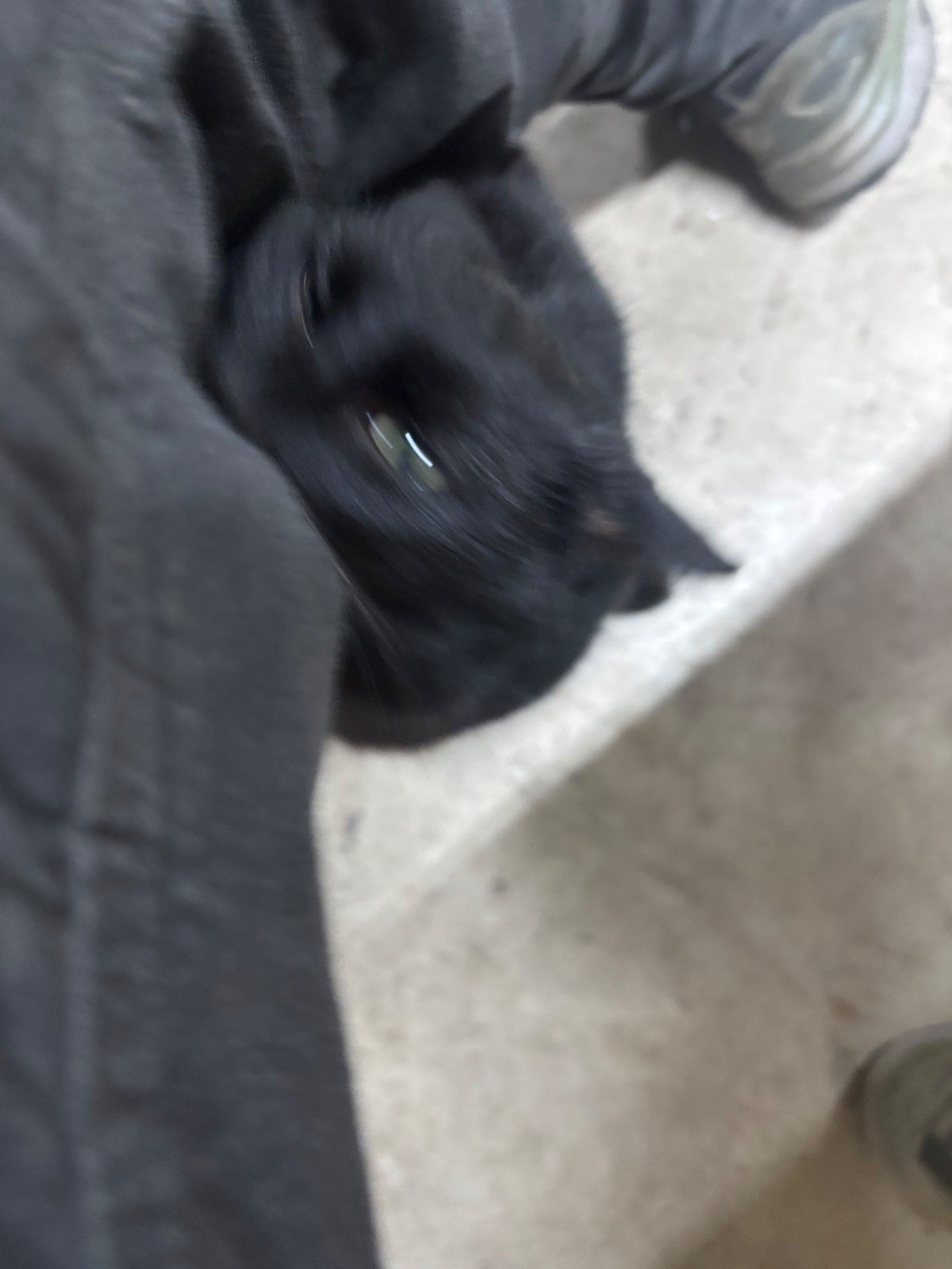 ace0b7c0-0a83-44b3-a8df-e96a9fb4b489