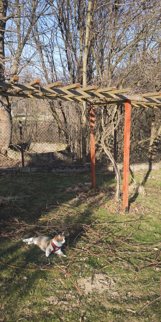 8944884a-8ea4-476f-b813-0015a0500787