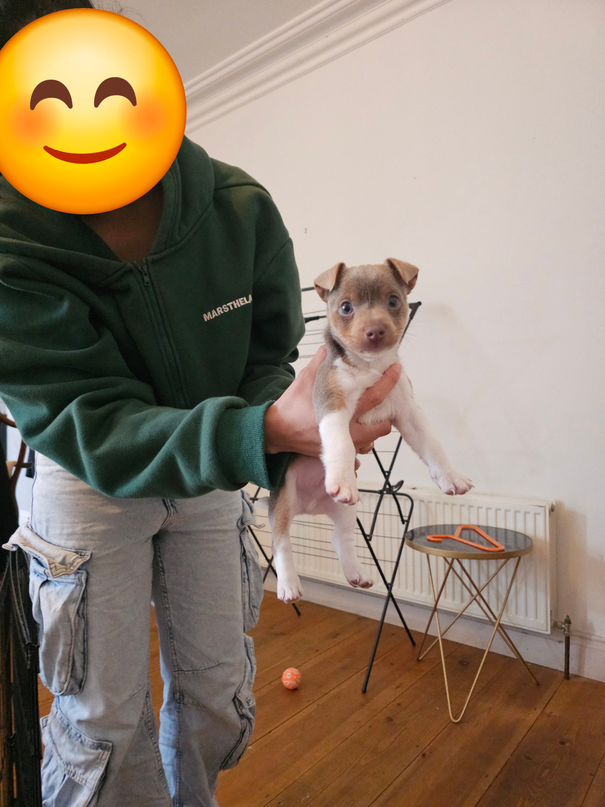 77aa75be-598b-425d-9178-dc4ea0cba5e0