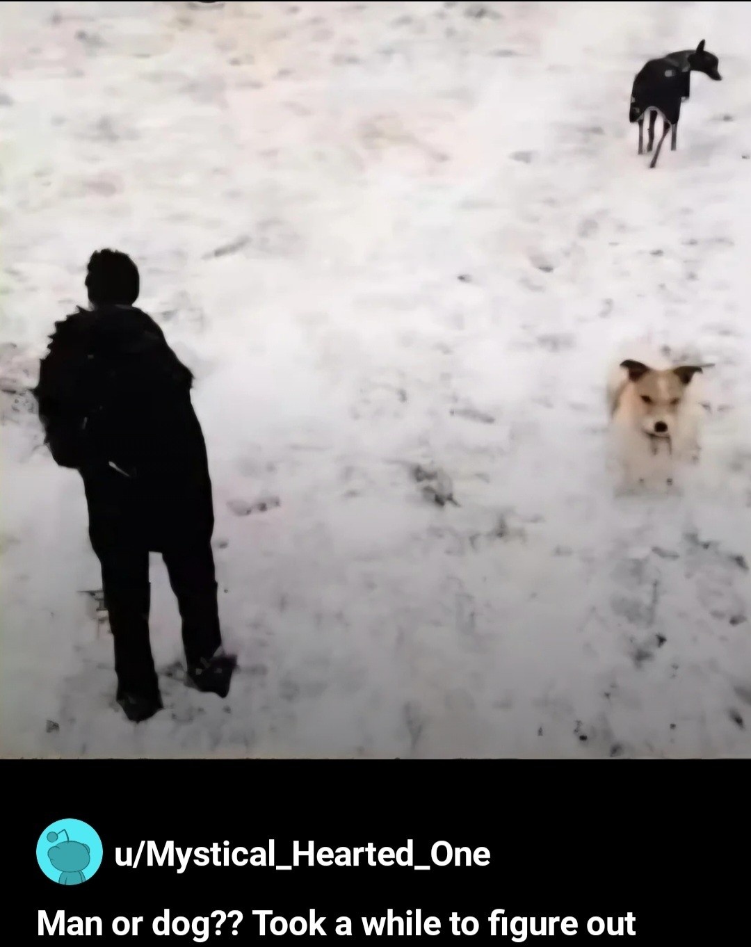 72d61f87-f496-41f7-9edc-880317716a80