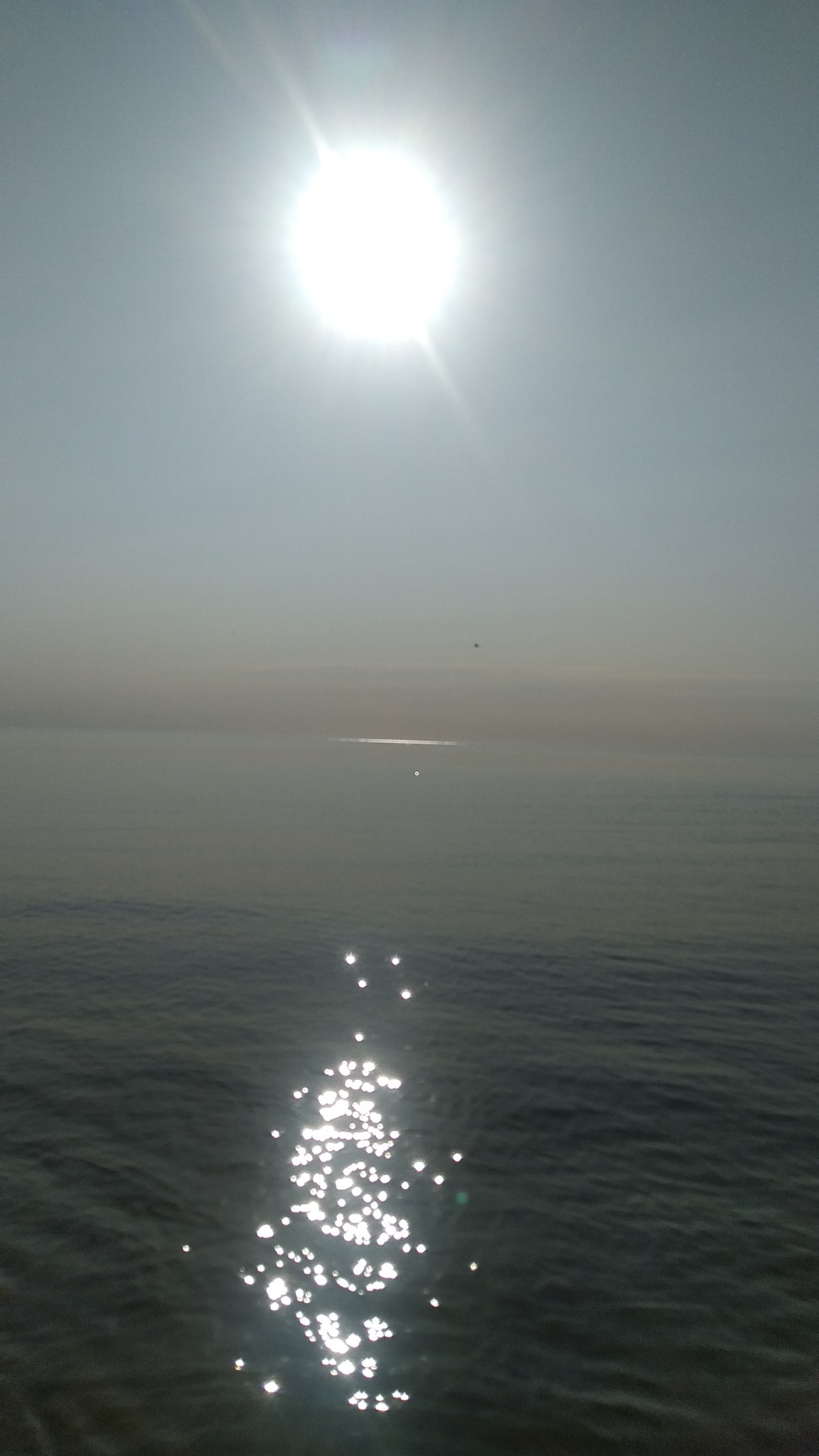 3f89bc92-15bc-45bc-b6ea-31d733f7a818