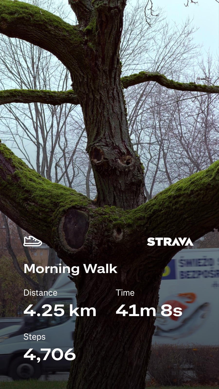 cdec0dbb-e6b4-450a-8e22-755696bac2e0