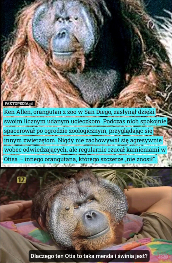 75486a63-17ac-4286-8a9e-813b2bbc78ca