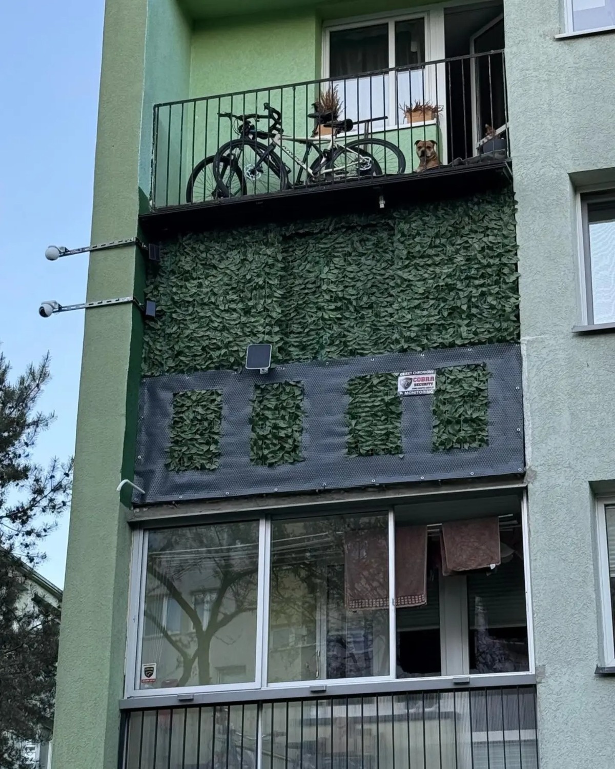 aecb807e-9832-43f5-ba55-e4d3fcd40504