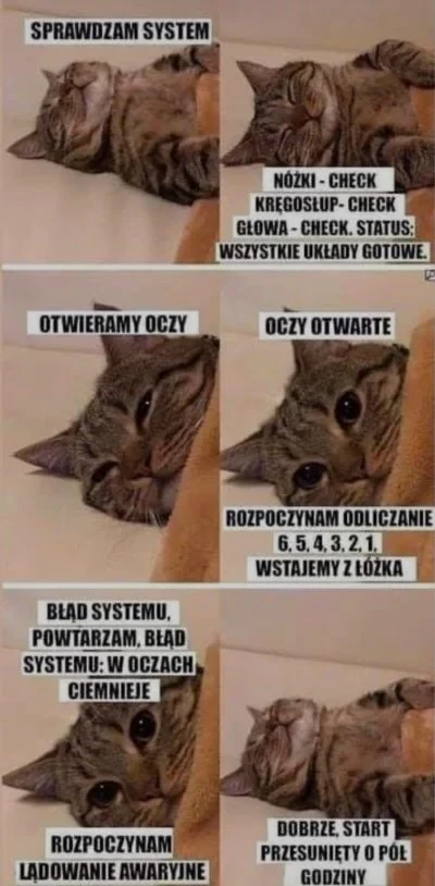 cfb91249-4cf2-4290-b7fe-d57141e5aae0