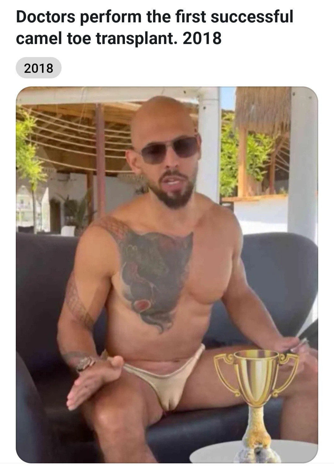 2565a354-a962-4496-85f1-fb7fc9df9284