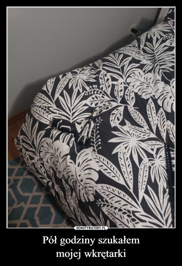 d085eb85-48b1-46a4-b5b9-aa9dc6d9d7f8