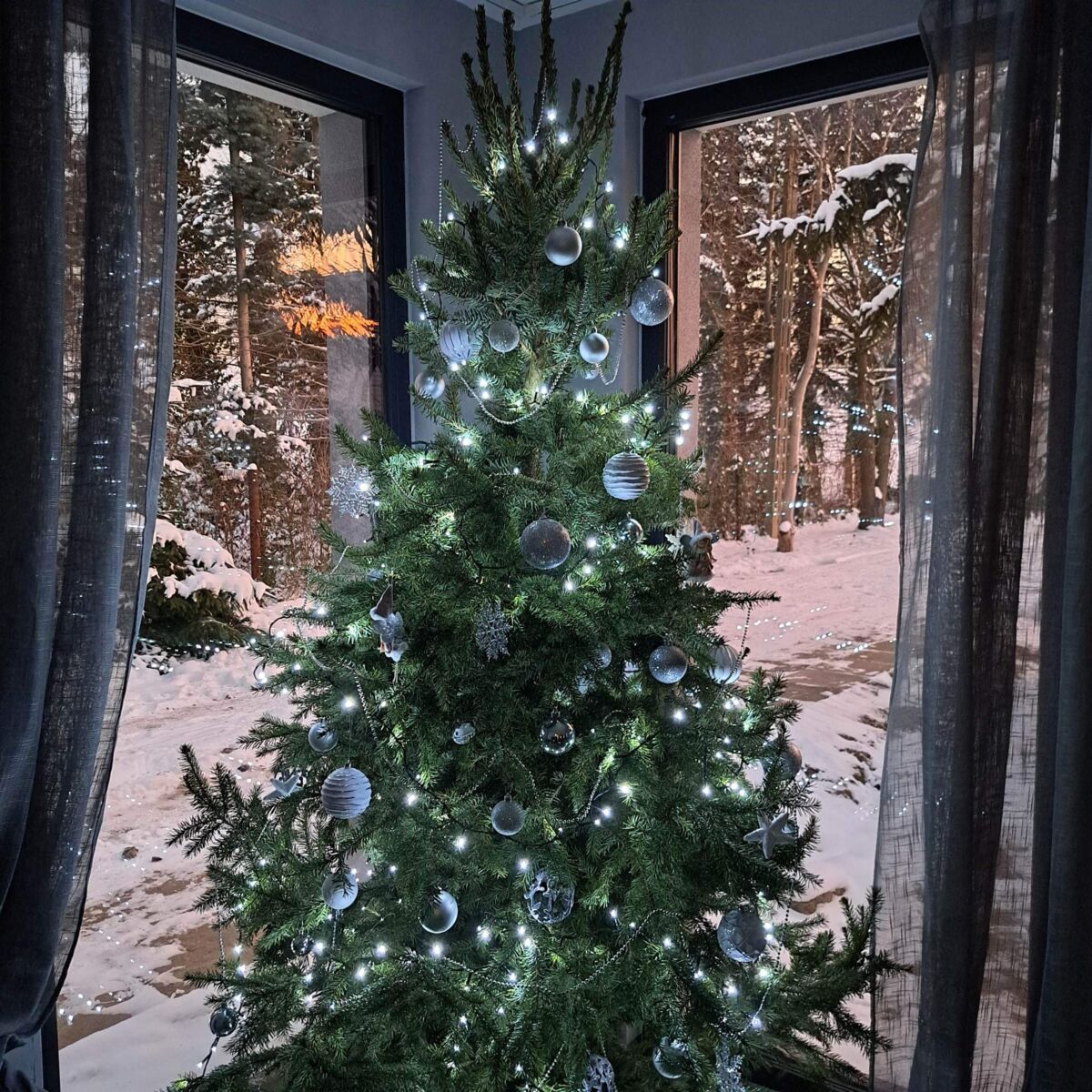 c324ced1-2e46-4de2-a249-45be1fc7dc1e