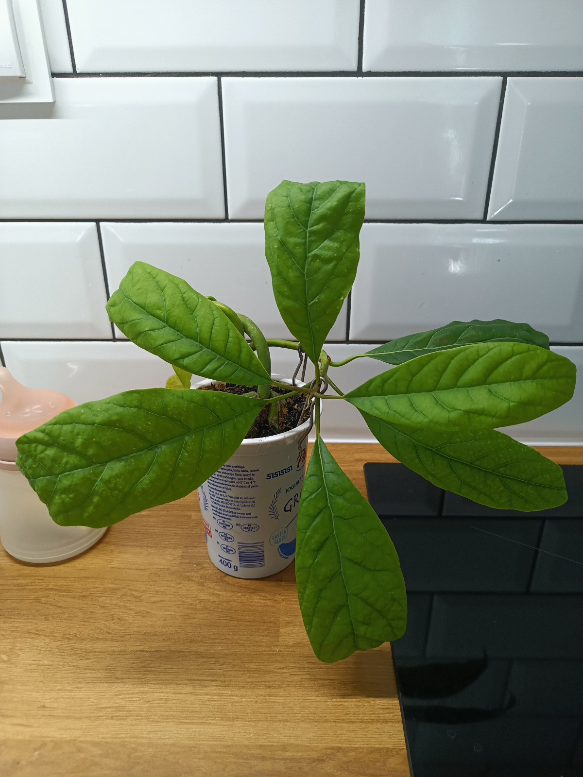 fa3e4b49-b296-4913-b732-b67a6ae69dcf