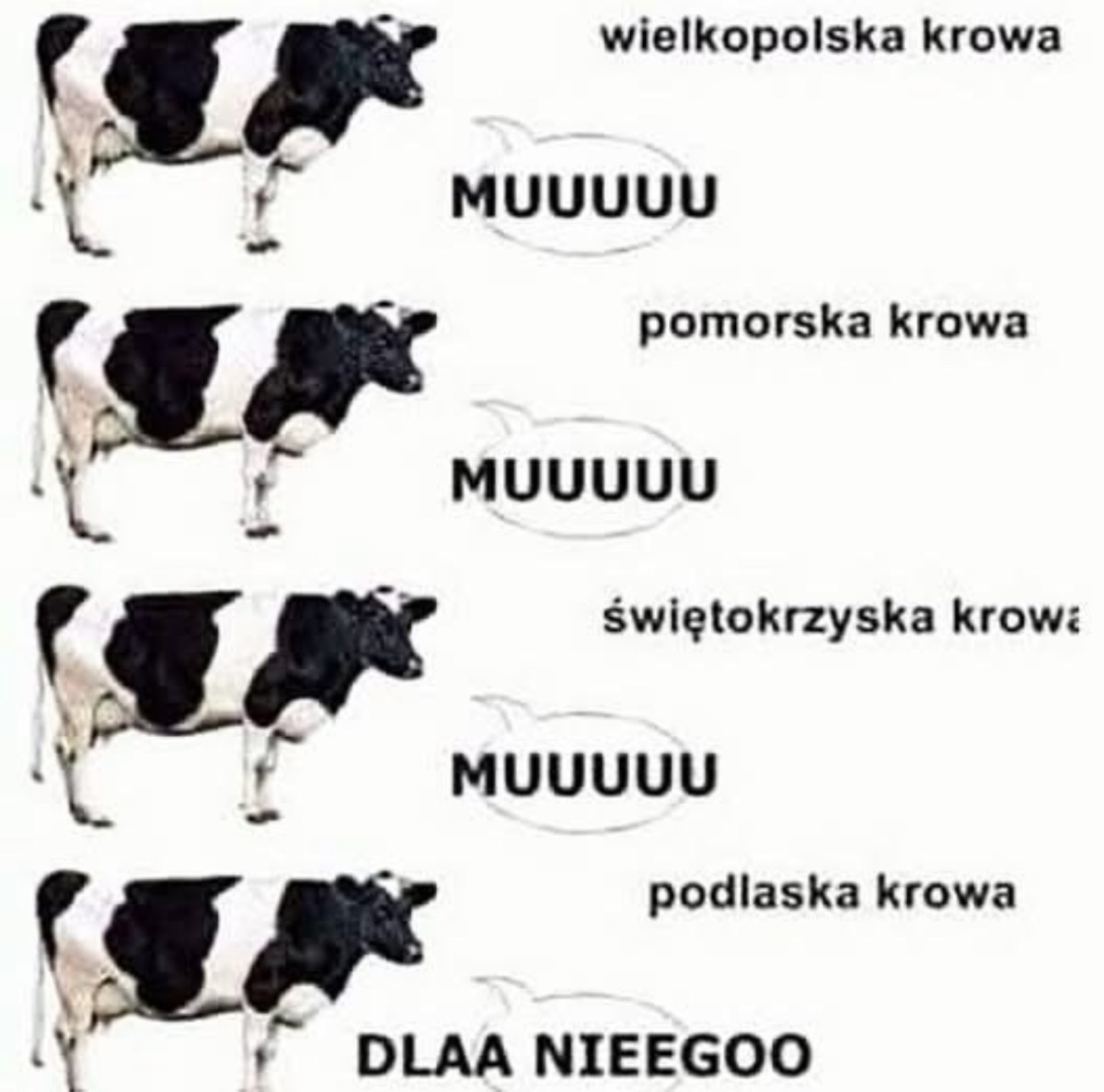 ee245b74-c27b-498b-921b-0f30c5bff9ef