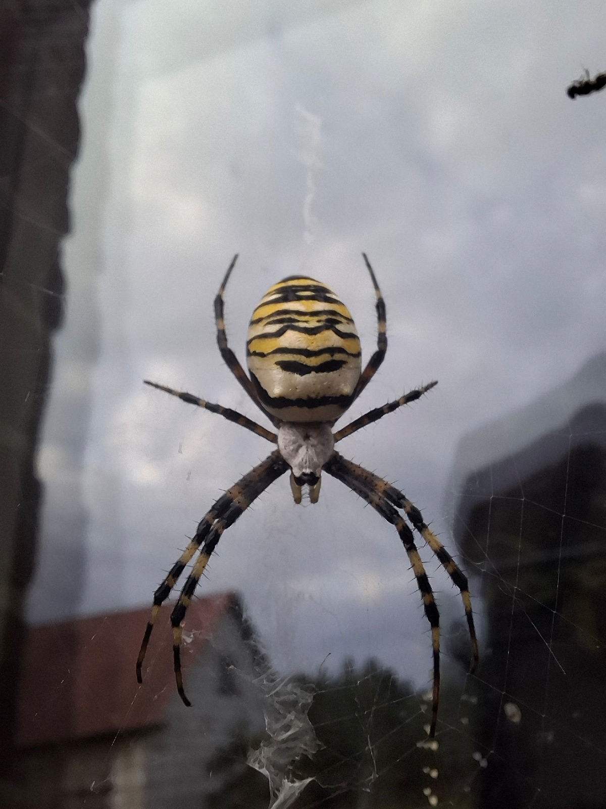 ff06aeed-b5a3-4458-8a47-db0440feefab