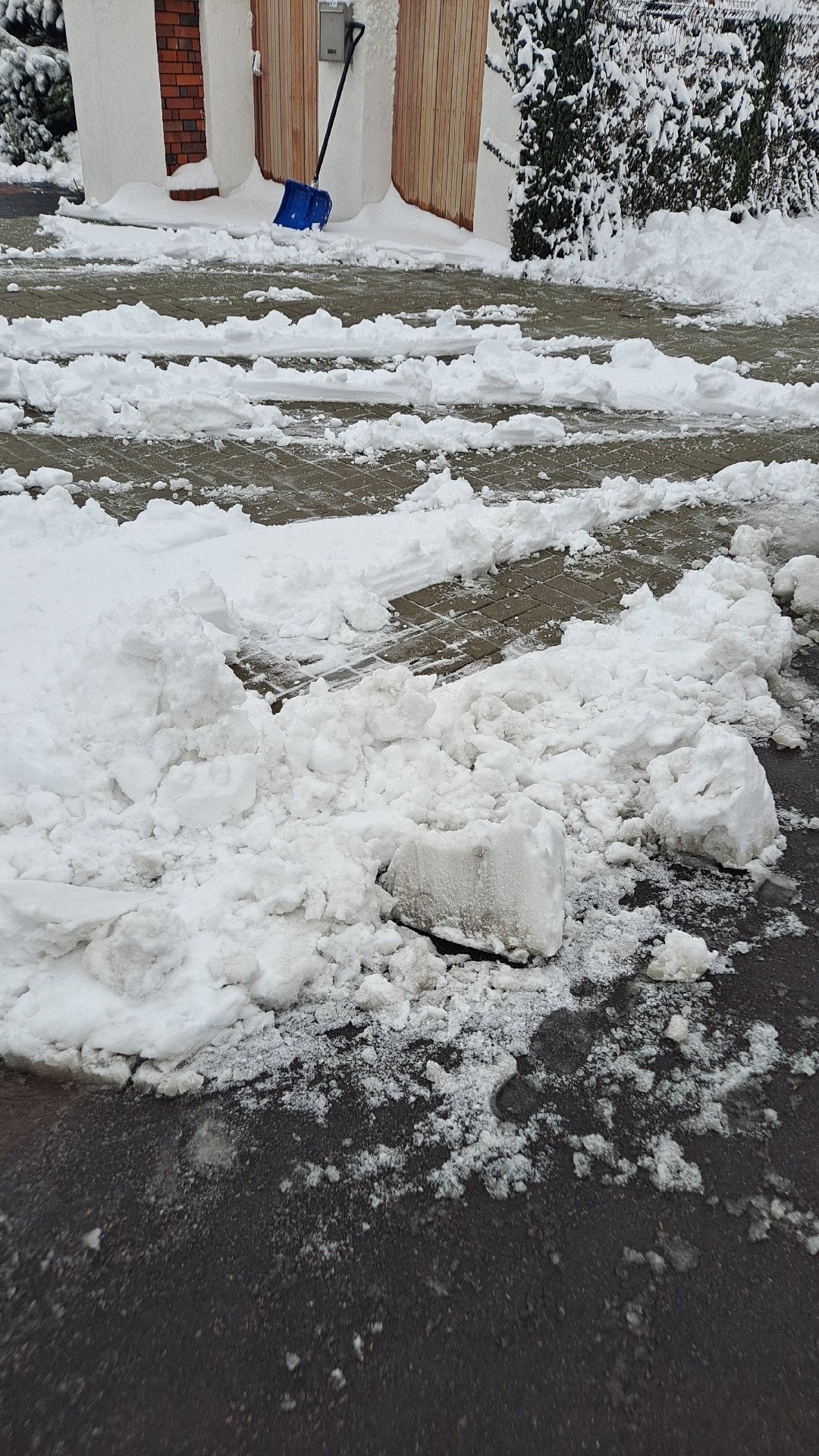 298df030-a1cb-4336-8125-2d0573de15c5