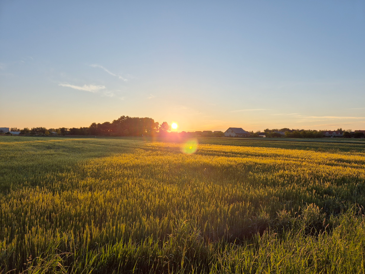 0989e17c-cb6e-4dc5-933c-4d54d1ed78de