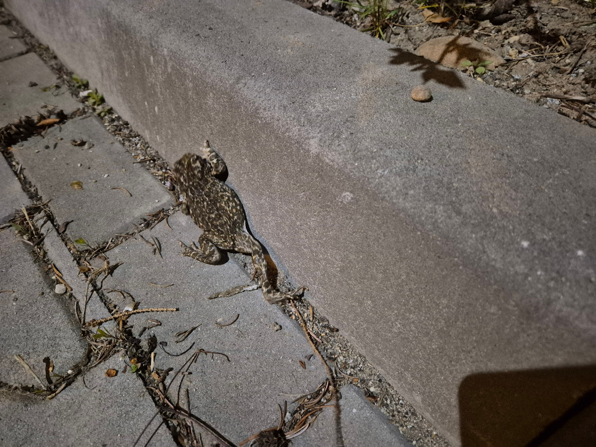 e7b25f44-1ff5-4ac4-8988-e3d5abc36ced