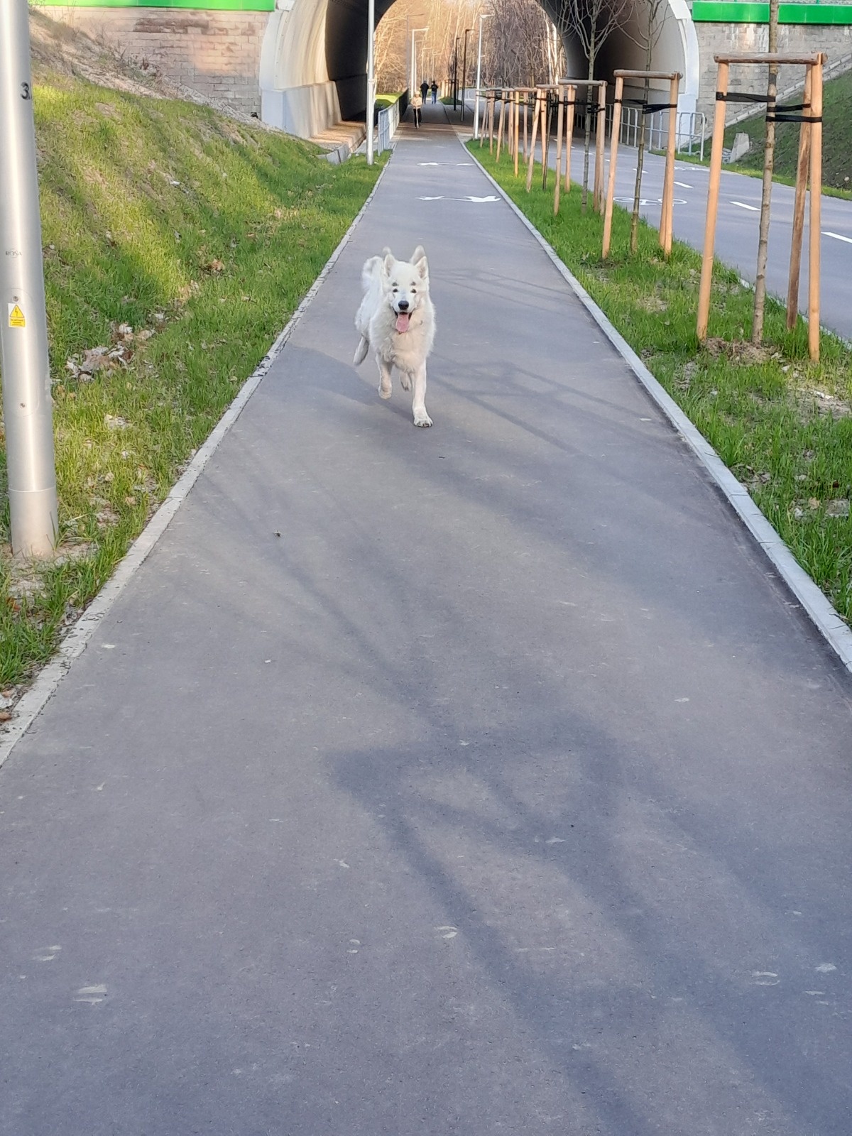 1830facb-9f52-45ee-a731-bfe365af02fb