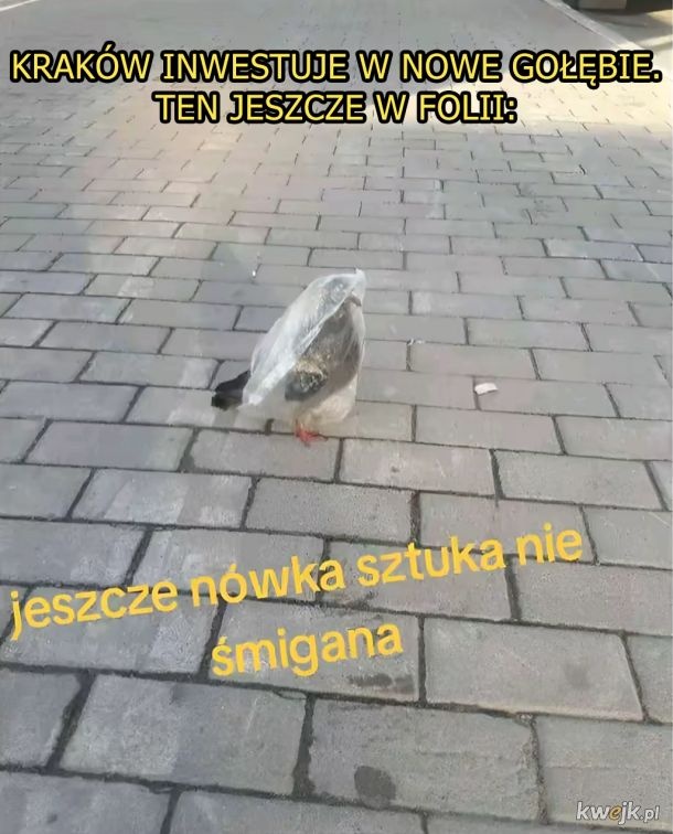 e582a866-8064-4dd8-9bfd-70445962896b