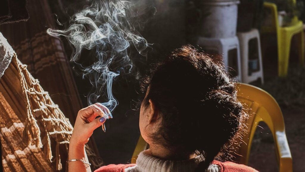 W jaki Sposób Konopie Indyjskie Działają na Bakterie Jelitowe