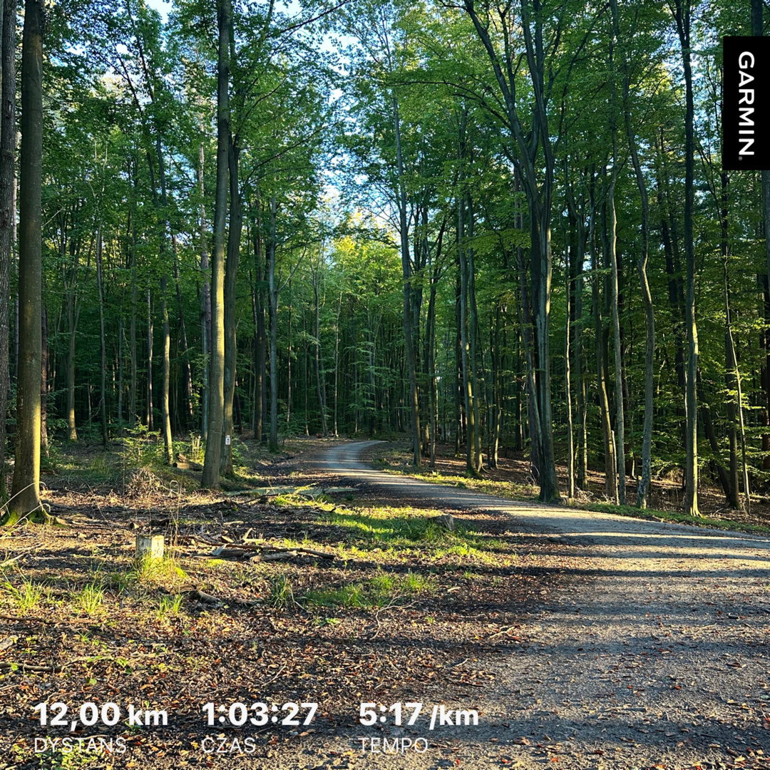 10bf97fb-24ea-4be0-95ff-efff3c2d52f7