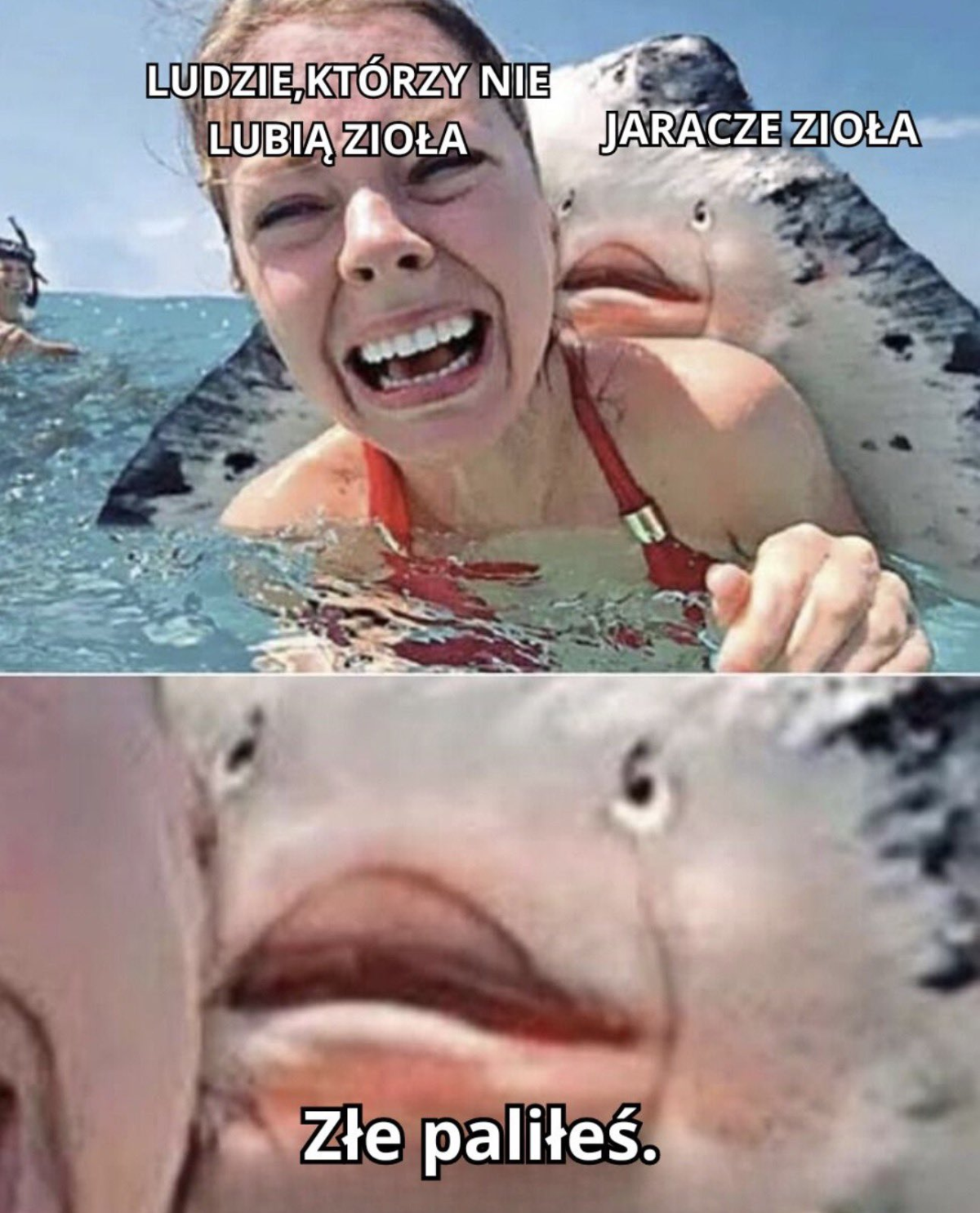 3b1dd923-a546-4c89-85a1-ac7669142551