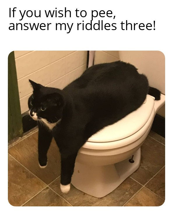 10f3c3af-7d01-4ee7-aed9-4bb7ab7a54ce