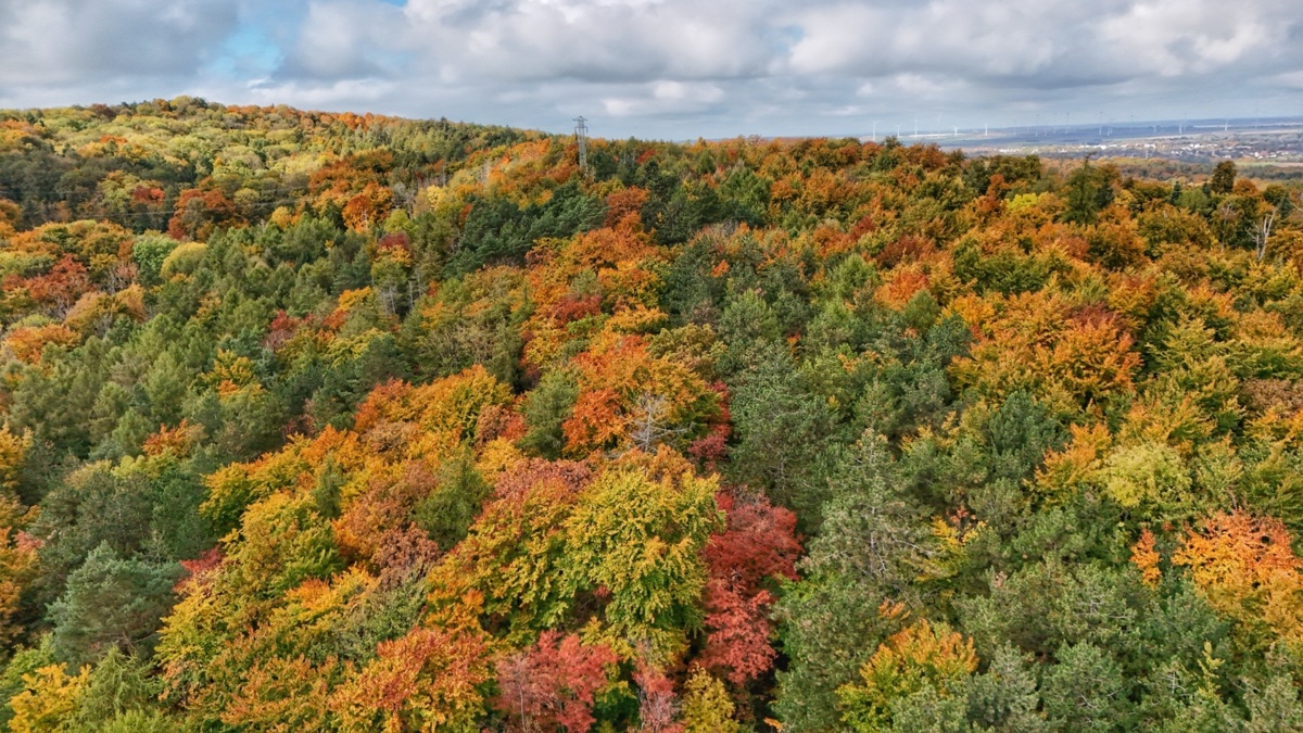 a6dcfaa8-7808-4324-928d-6eea92781d45