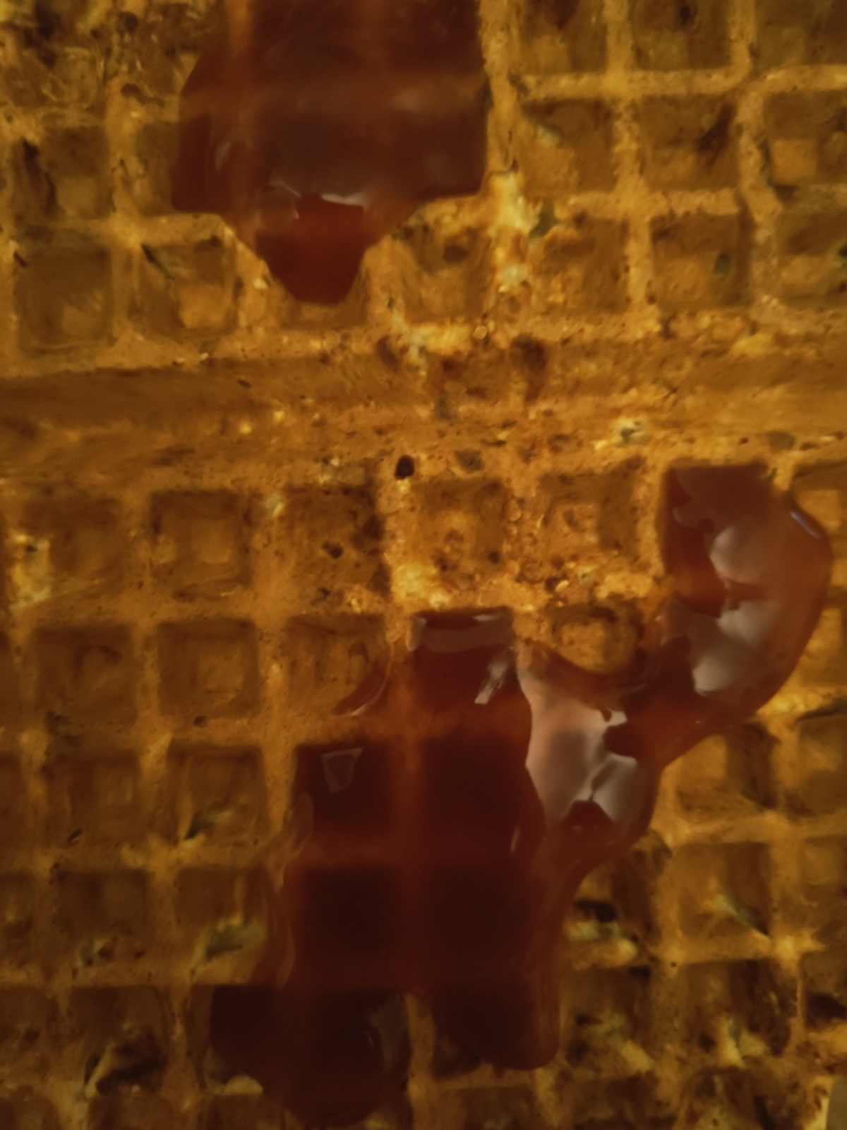 ca3dd55a-0691-4060-b767-35d690ea52db