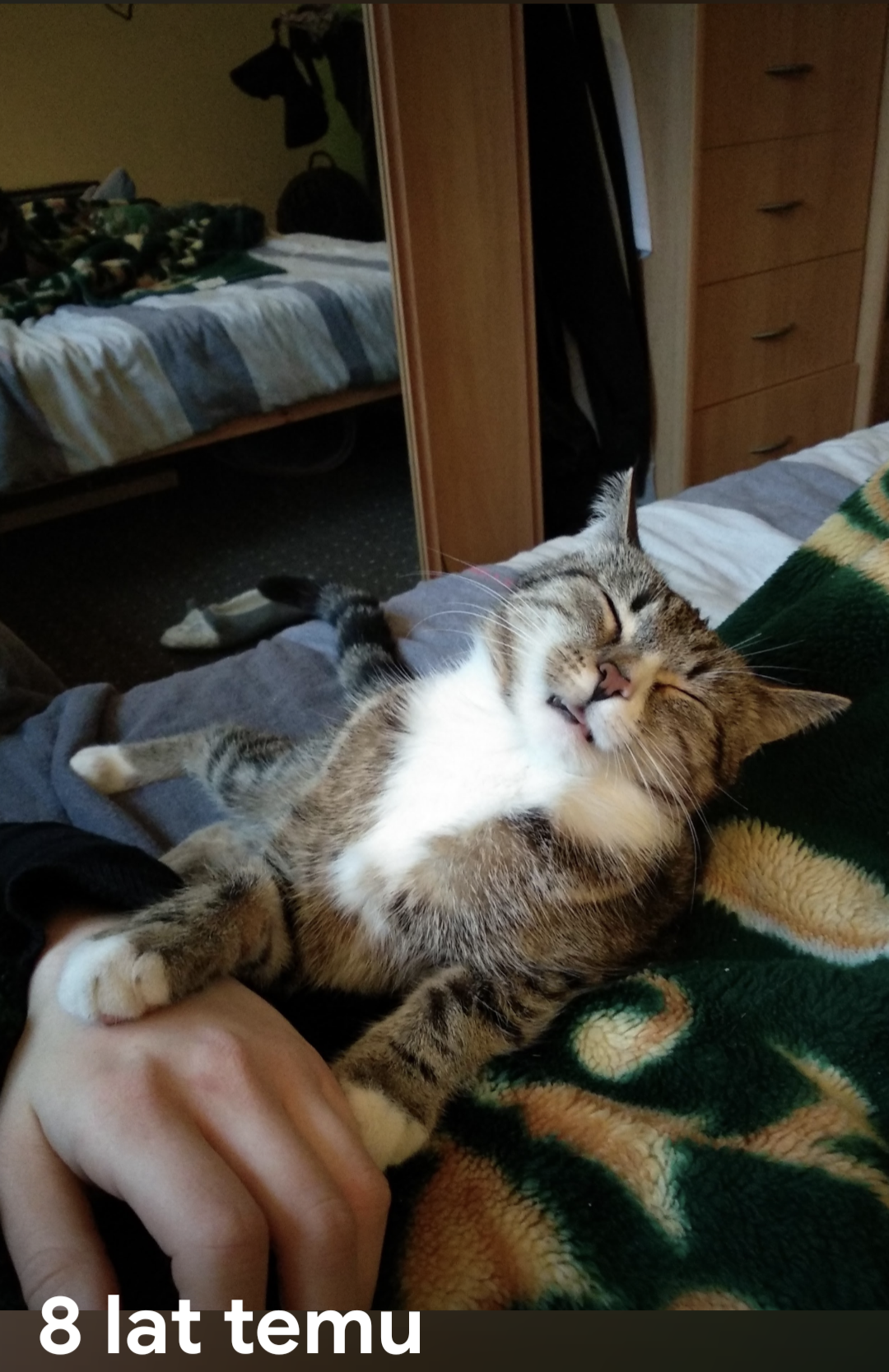 dad4c3a5-4ae3-4944-b3b0-bd8345b26c2b