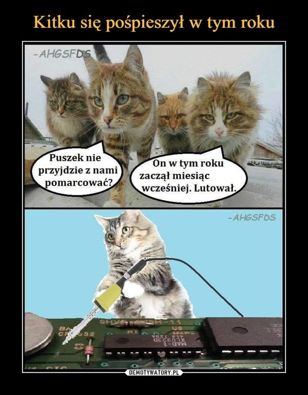 ea235eb6-003a-4c35-ac90-c0cdfd719923