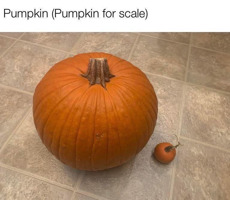 499044d2-7384-4798-9f6b-2017943d5143