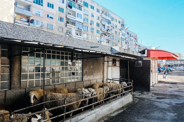 bda9f7f3-1aae-418a-b58c-e90c0e332fe8