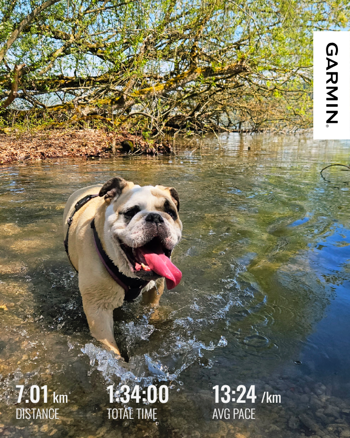 a7b6159d-88a9-4732-9981-ceaa19873de6