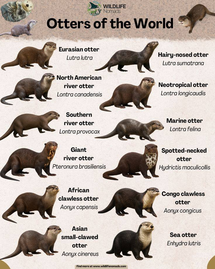 5aa7d4ad-7ce9-4b57-8c50-b19fa8b98154