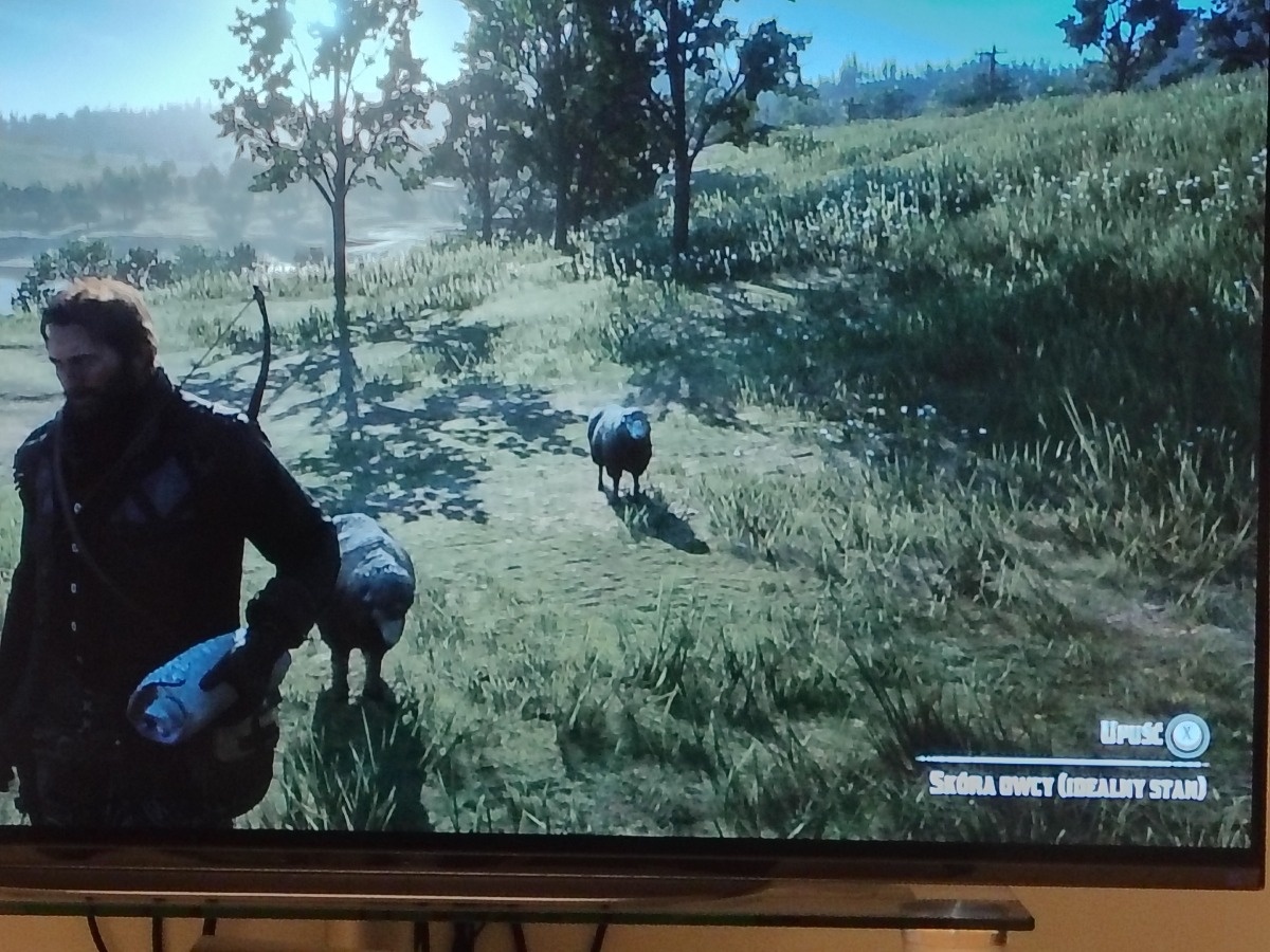 ec545160-fb95-42c4-ac4a-8b23269e81ea