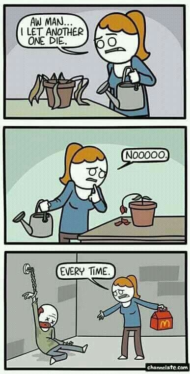 4b53ce4f-80a2-478c-b114-ee9d84c9d4d8