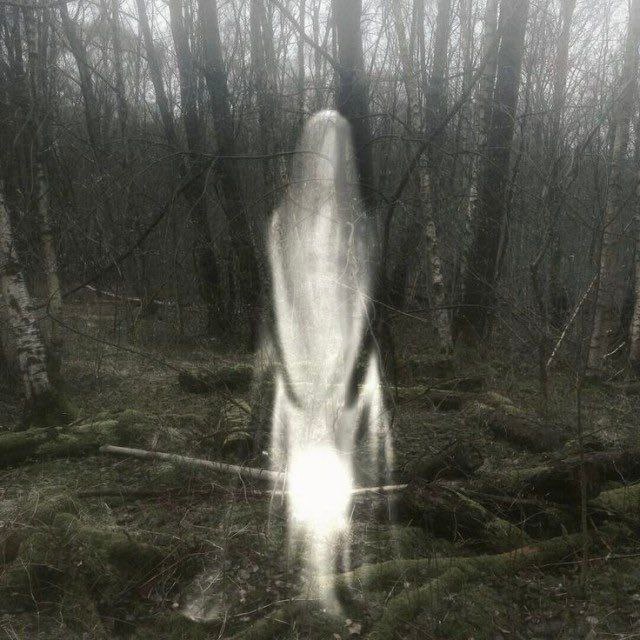 c7a25d8e-a6e3-402c-9685-e465df52552a