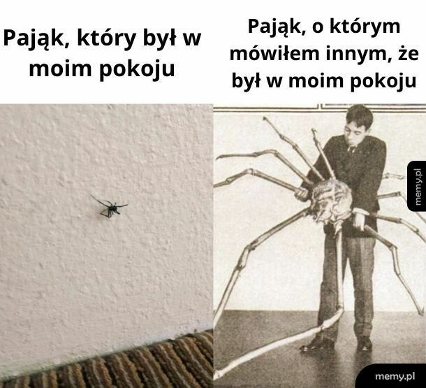 1ae4b921-f662-46f3-bdbf-17985c74ea55